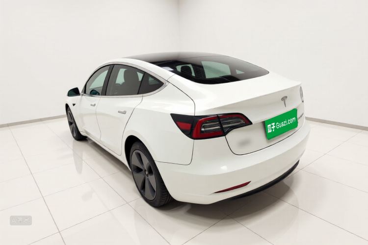 Tesla Model 3 2020 car image #5