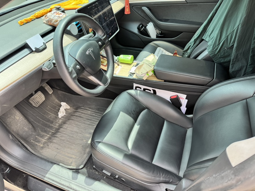 Tesla Model 3 2021 #2 Tesla Model 3 2021 car image #2