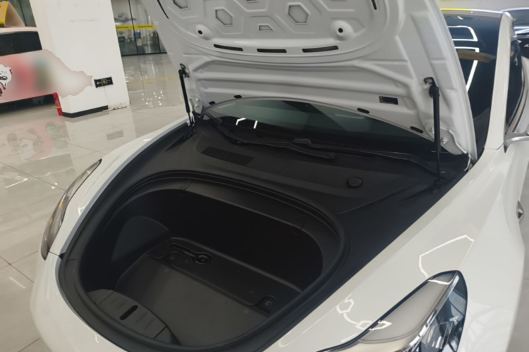 Tesla Model 3 2020 #20 Tesla Model 3 2020 immagine di auto #20