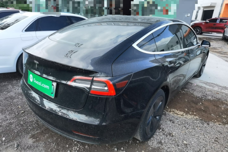Tesla Model 3 2020 car image #7