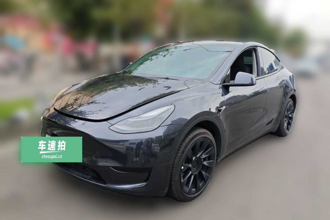 Tesla Model Y 2024 car image 
