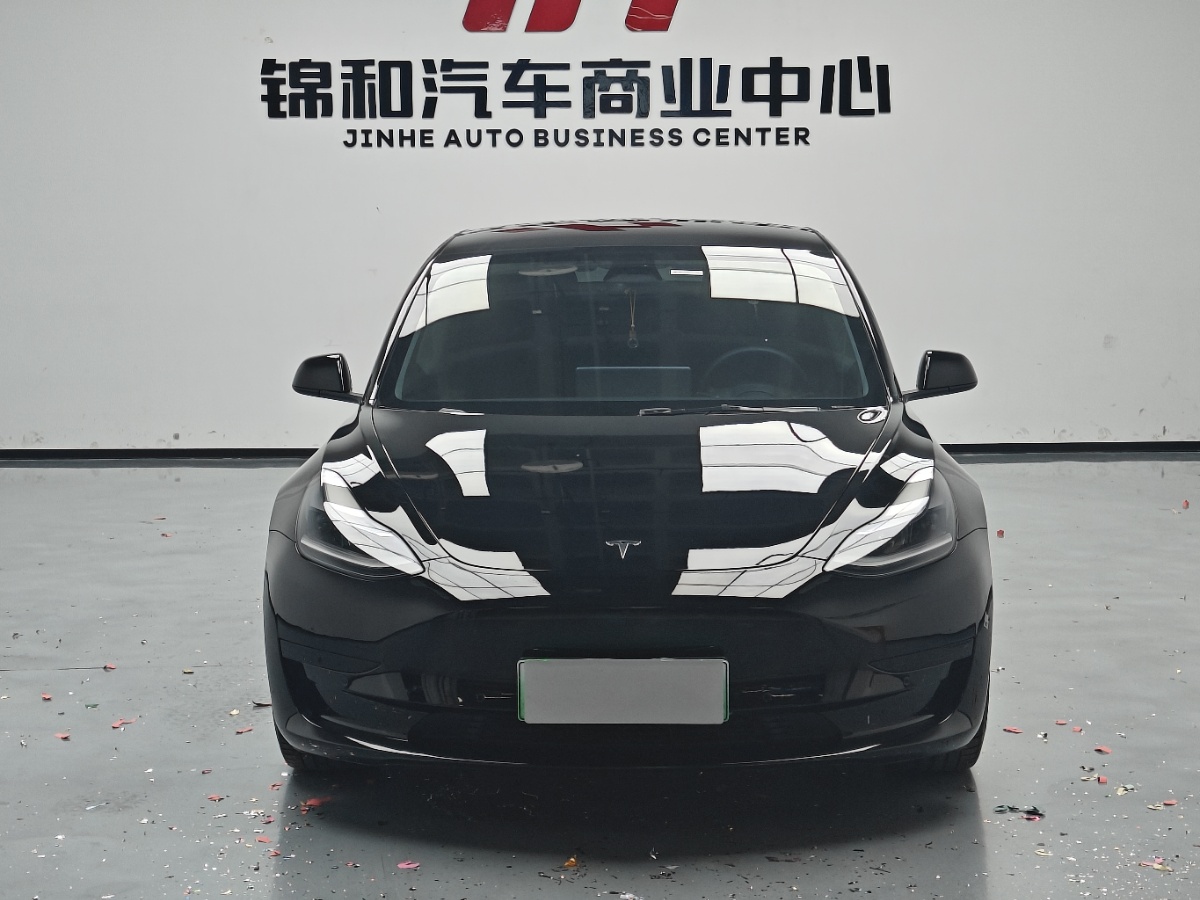 Tesla Model 3 2021 car image #2