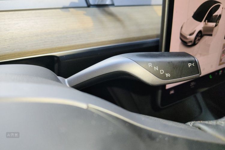 Tesla Model Y 2023 car image #16