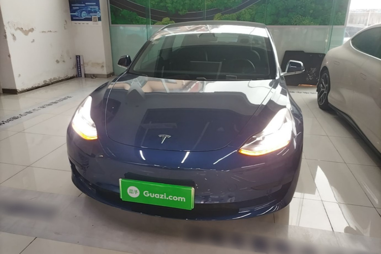 Tesla Model 3 2020 car image #3