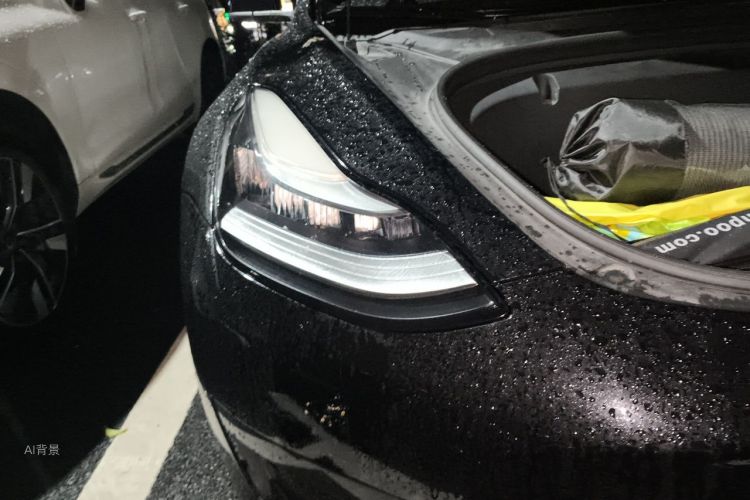 Tesla Model 3 2020 car image #8