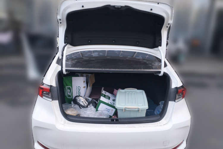 Toyota Corolla 2020 car image #21