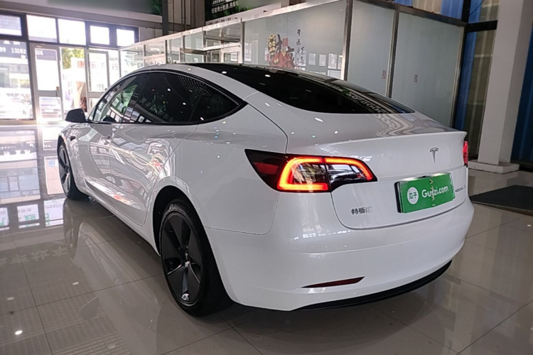 Tesla Model 3 2023 #5 Tesla Model 3 2023 immagine di auto #5