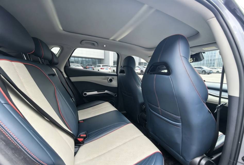 BYD Yuan Plus 2023 car image #9