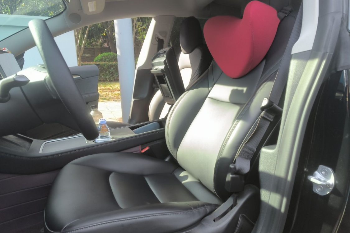 Tesla Model 3 2021 car image #18