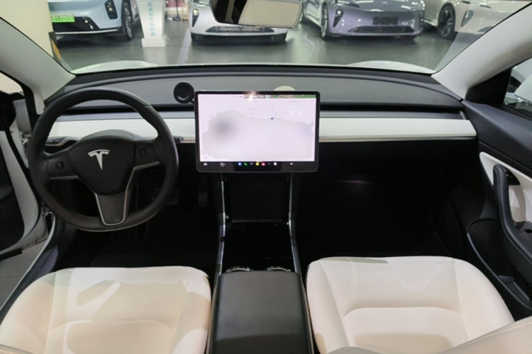 Tesla Model 3 2020 #10 Tesla Model 3 2020 car image #10