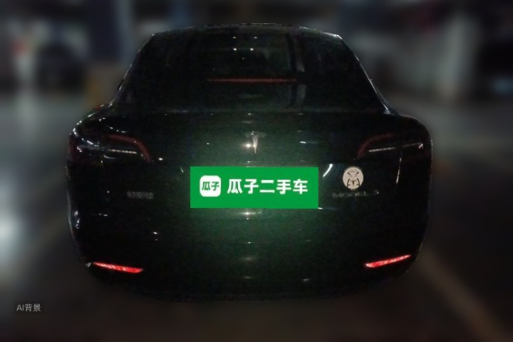 Tesla Model 3 2023 car image #6