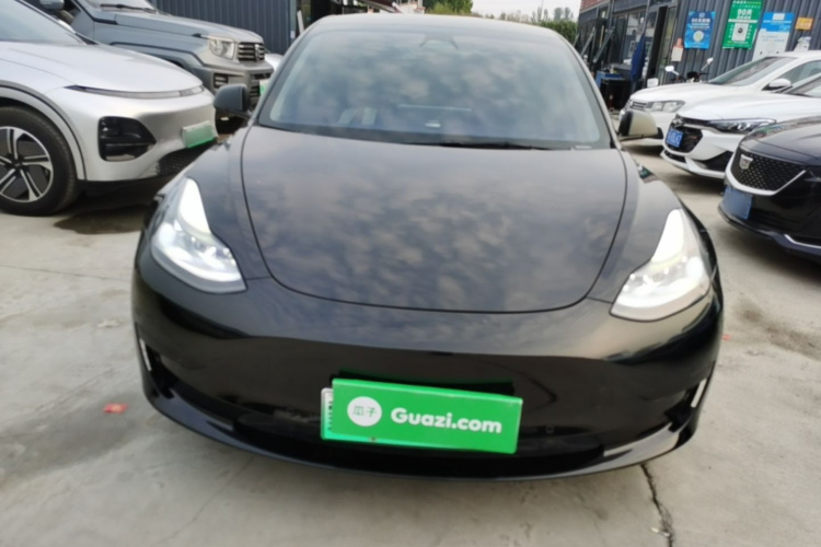 Tesla Model 3 2021 #3 Tesla Model 3 2021 immagine di auto #3