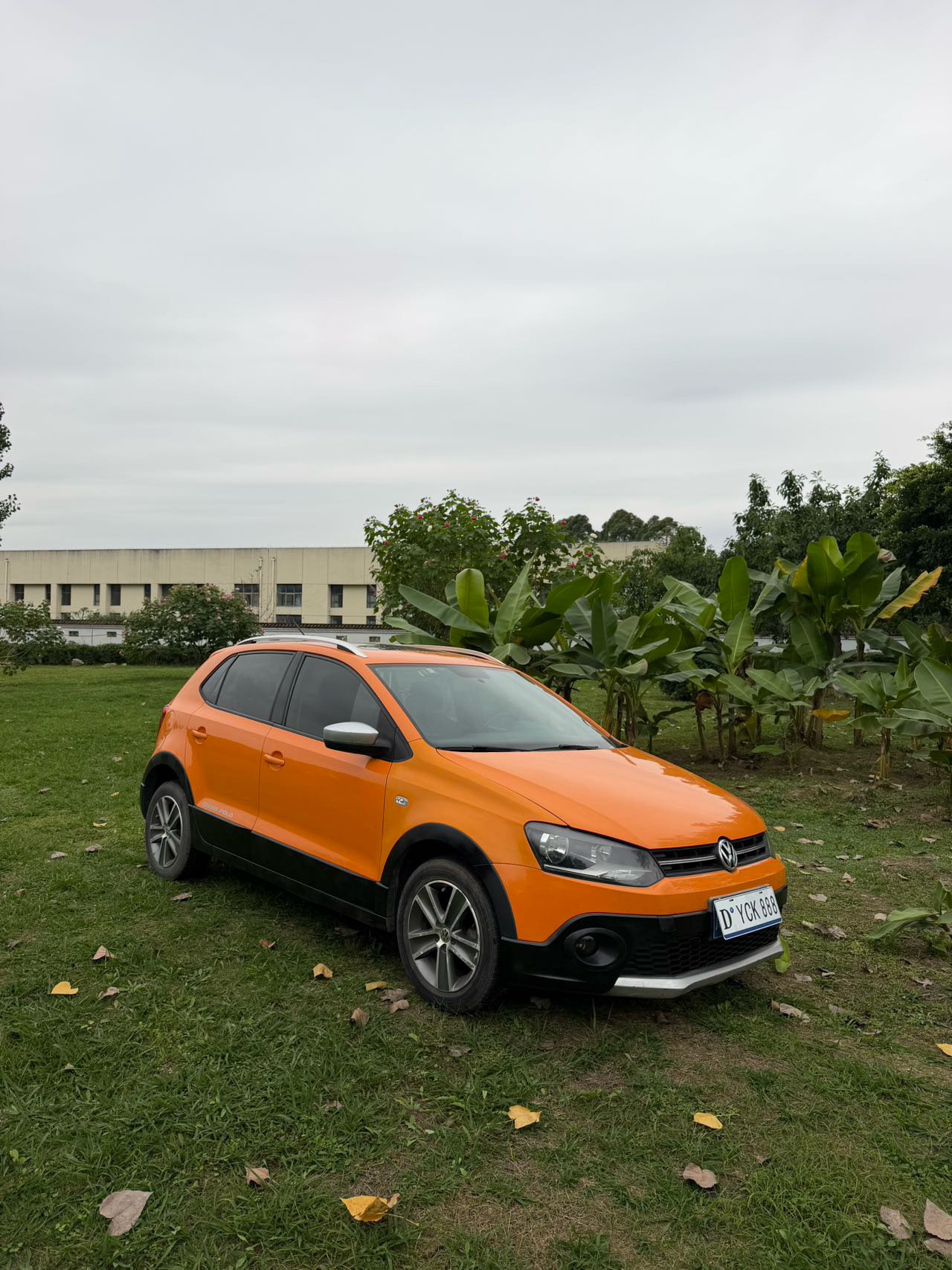Volkswagen Polo 2012 #3 Volkswagen Polo 2012 immagine di auto #3