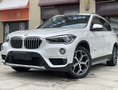 BMW X1 2019 car image 