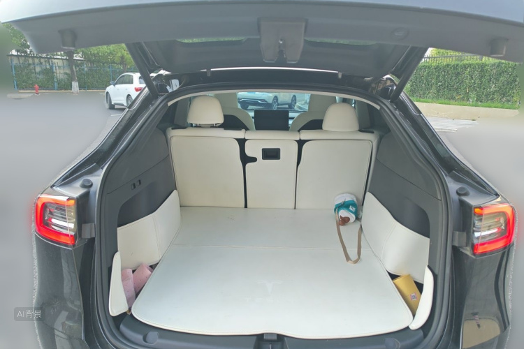Tesla Model Y 2023 car image #21