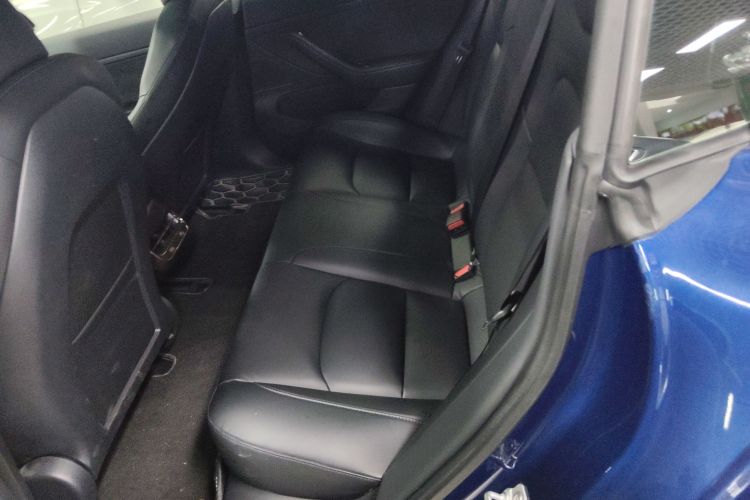 Tesla Model 3 2020 car image #17