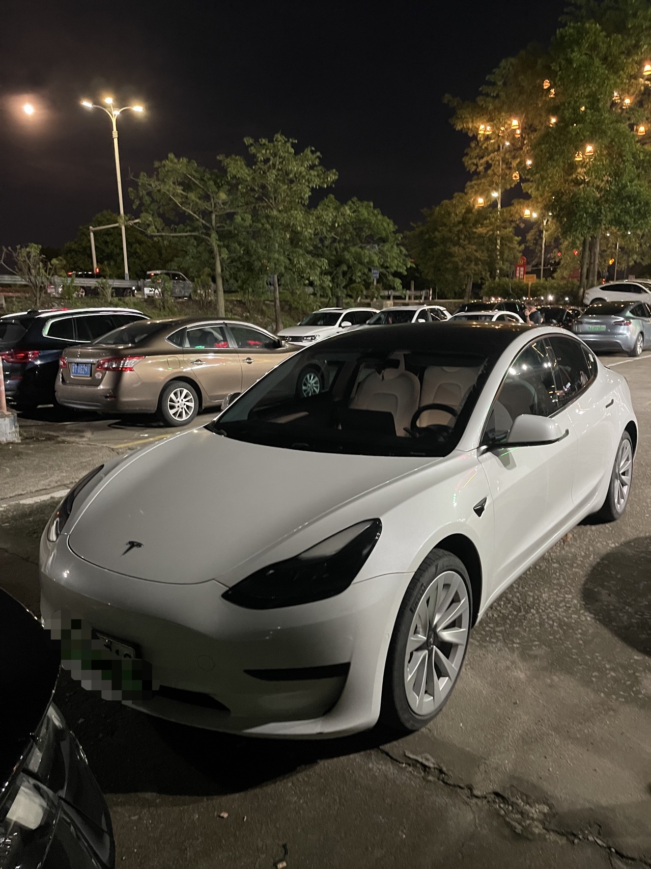 Tesla Model 3 2023 car image 