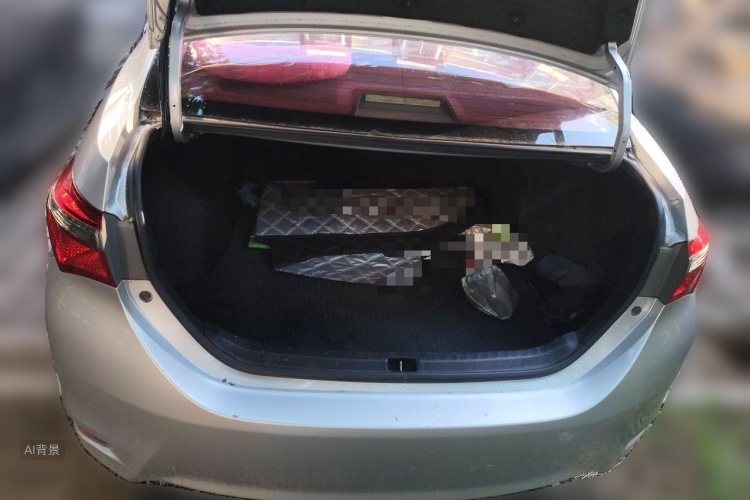 Toyota Corolla 2019 car image #21