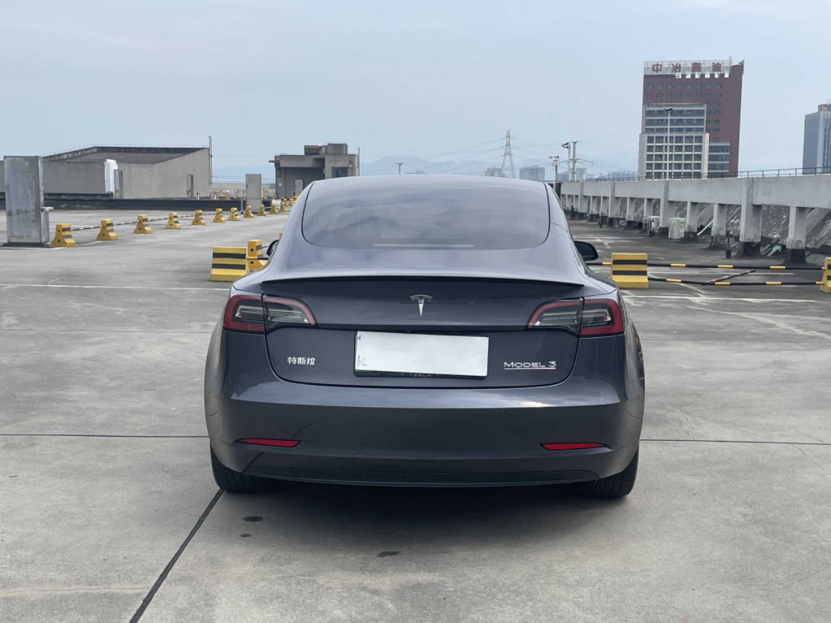 Tesla Model 3 2021 #6 Tesla Model 3 2021 car image #6