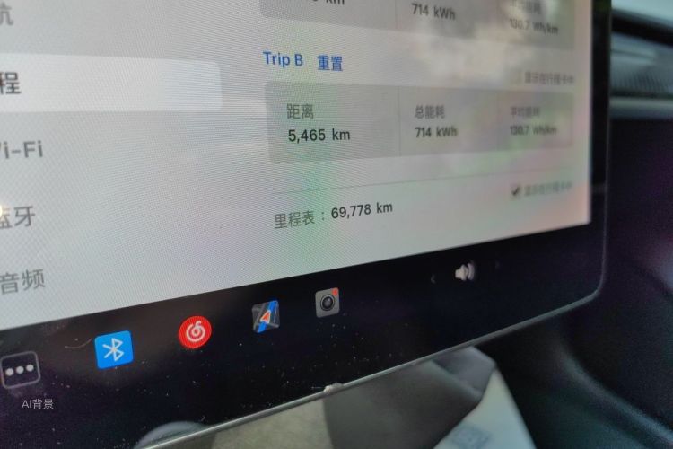 Tesla Model 3 2021 car image #14