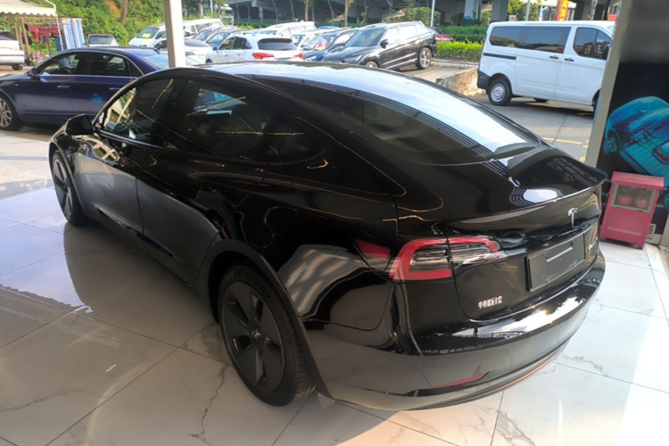 Tesla Model 3 2021 immagine di auto #5