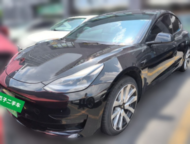 Tesla Model 3 2023 Tesla Model 3 2023 car image