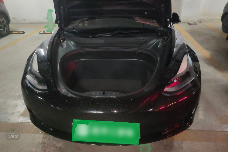 Tesla Model 3 2021 car image #22