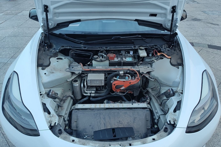Tesla Model 3 2021 car image #20