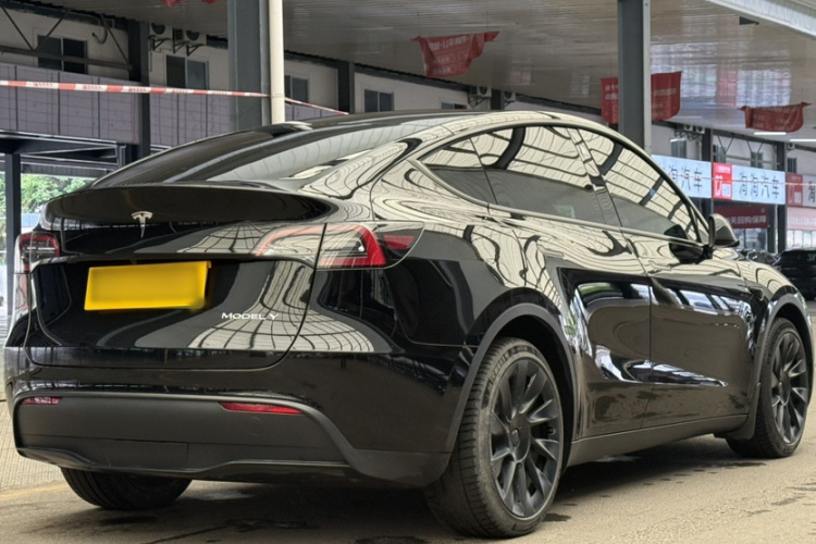 Tesla Model Y 2021 #3 Tesla Model Y 2021 car image #3