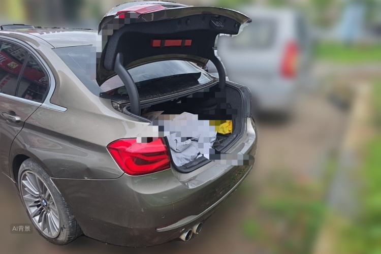 BMW 3 Series 2019 car image #21