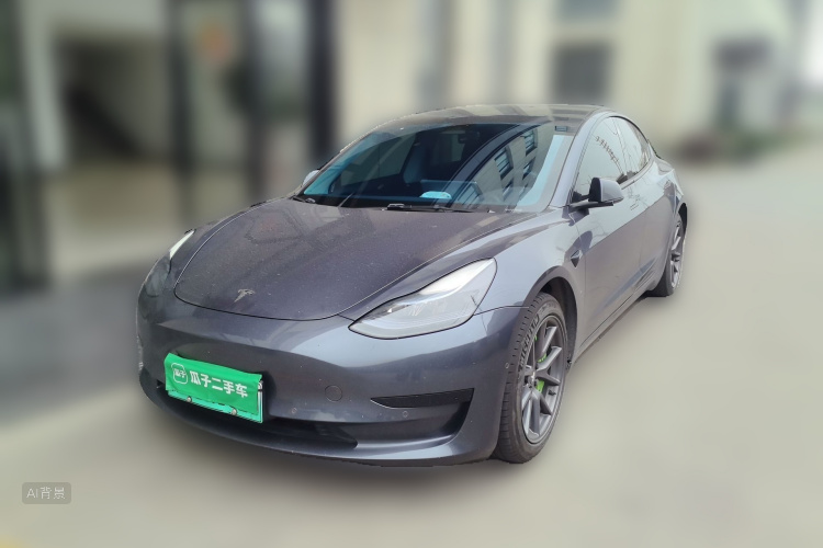 Tesla Model 3 2022 car image #2
