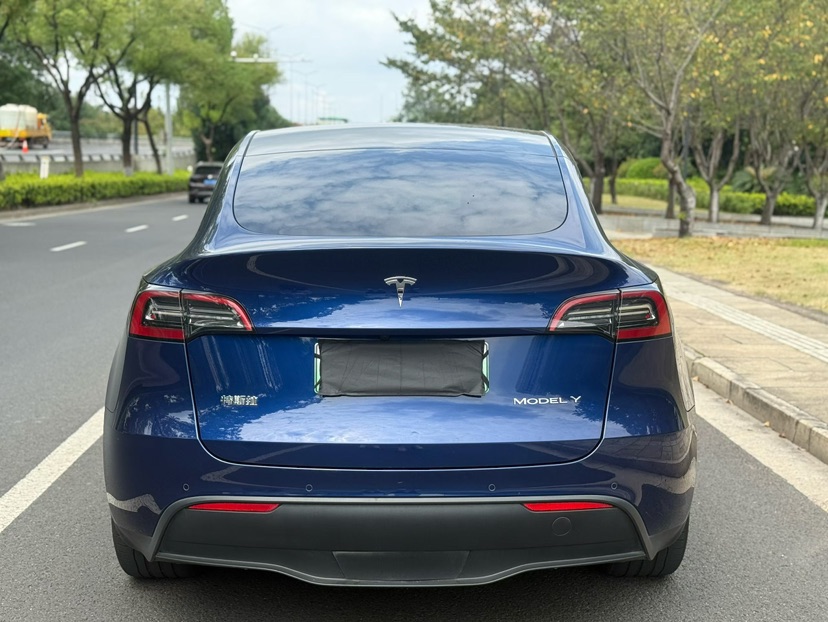 Tesla Model Y 2021 #8 Tesla Model Y 2021 car image #8