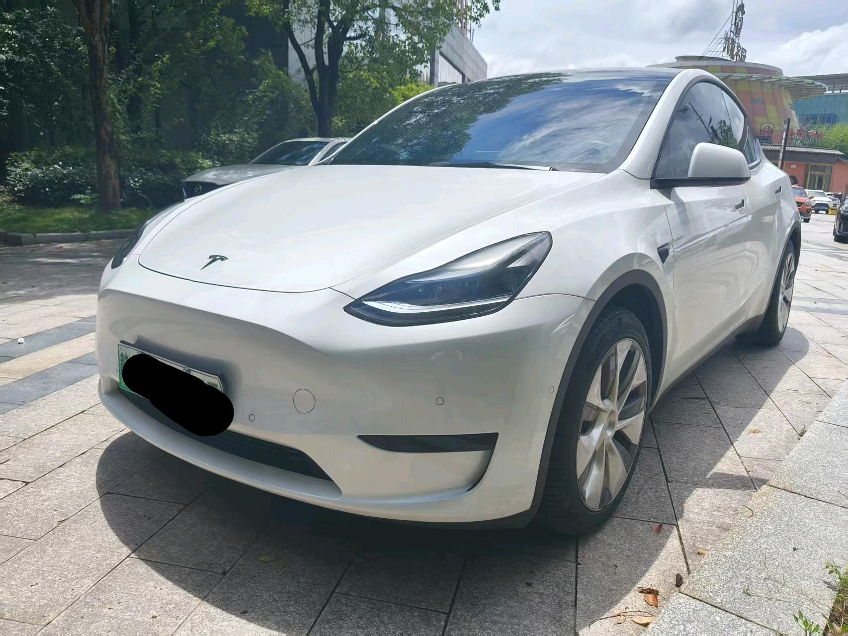 Tesla Model Y 2022 Tesla Model Y 2022 car image