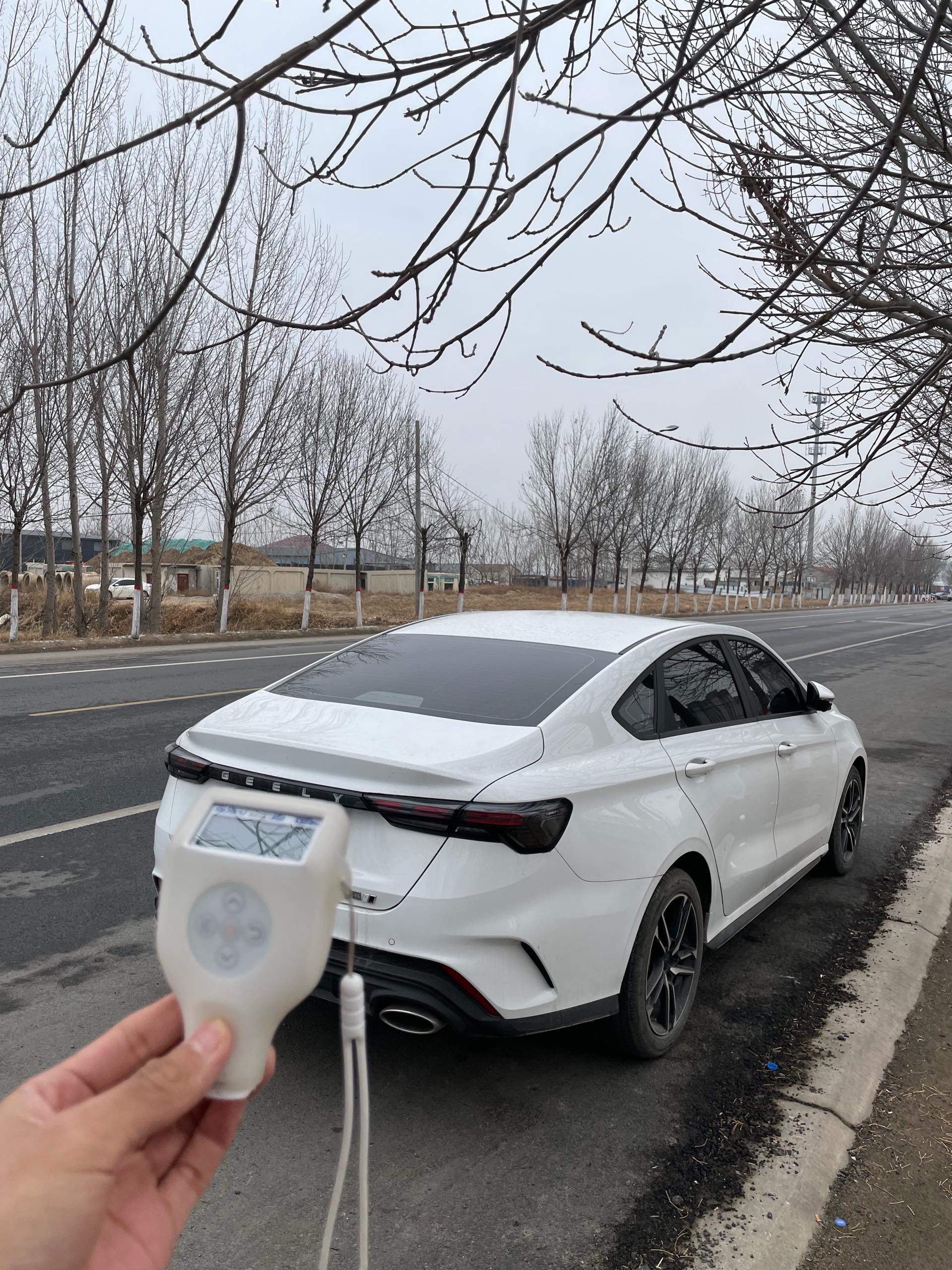 GEELY Binray 2024 image de voiture #7