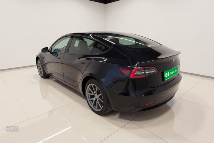 Tesla Model 3 2020 car image #5