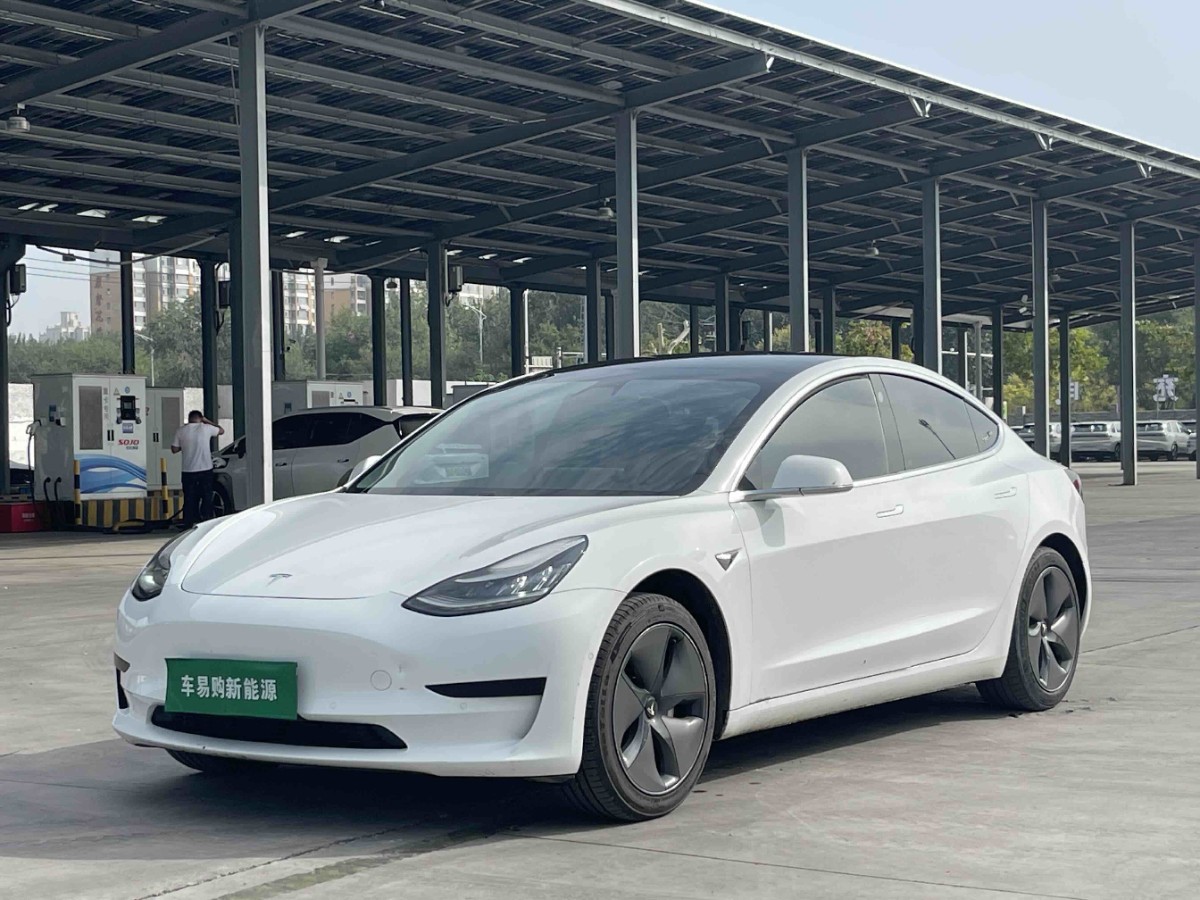 Tesla Model 3 2020 صورة سيارة 