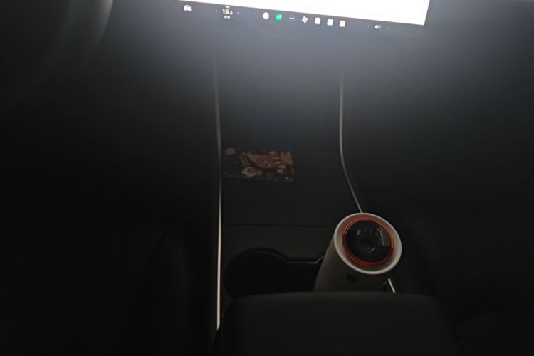Tesla Model 3 2020 car image #13