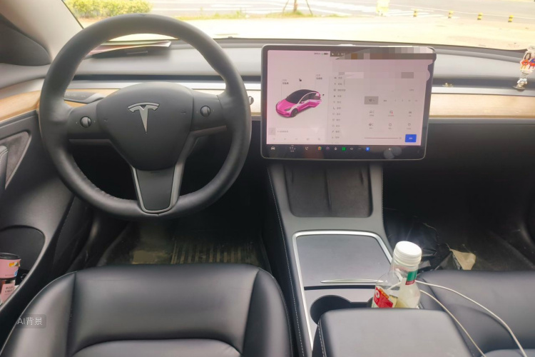 Tesla Model 3 2021 car image #11