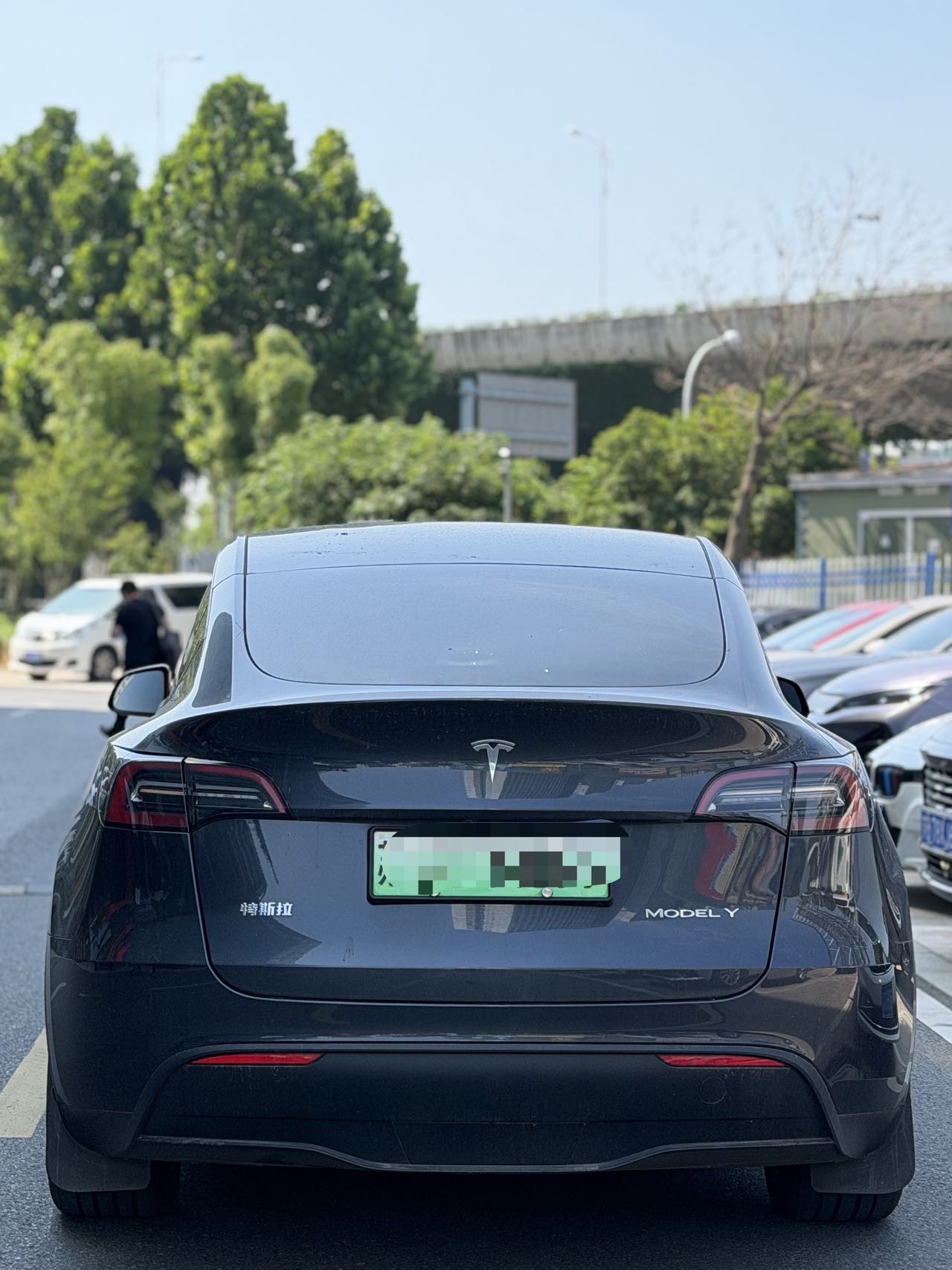 Tesla Model Y 2024 #3 Tesla Model Y 2024 car image #3