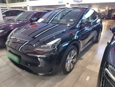 Tesla Model Y 2022 car image 