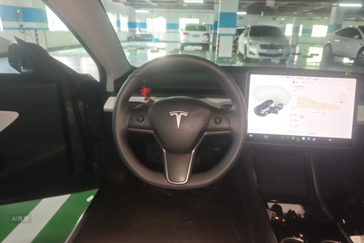 Tesla Model 3 2020 immagine di auto #12