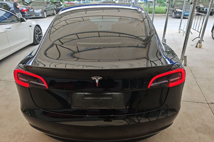 Tesla Model 3 2020 #6 Tesla Model 3 2020 car image #6