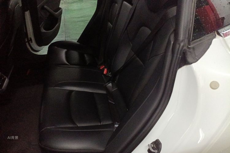 Tesla Model 3 2020 imagem de carro #19