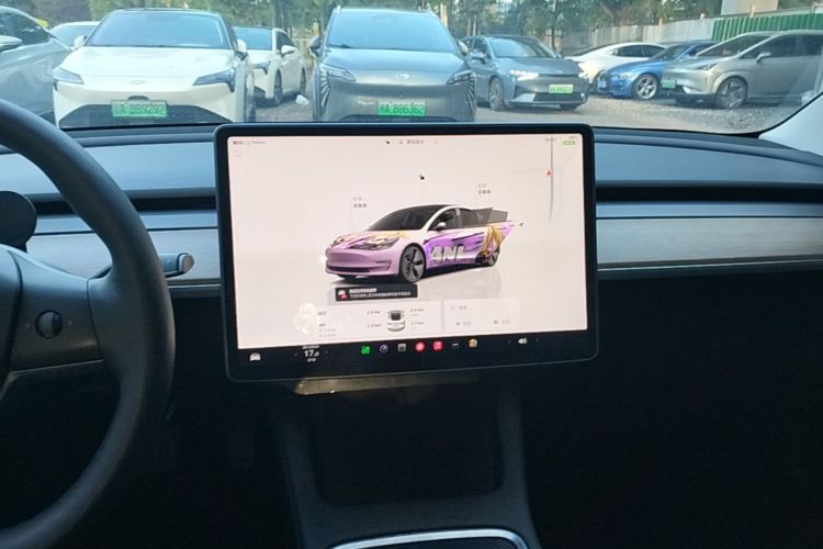 Tesla Model 3 2022 car image #13