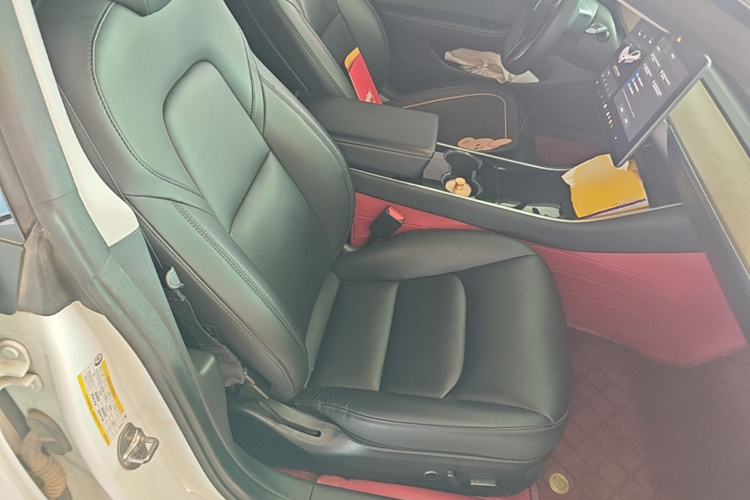 Tesla Model 3 2020 immagine di auto #24