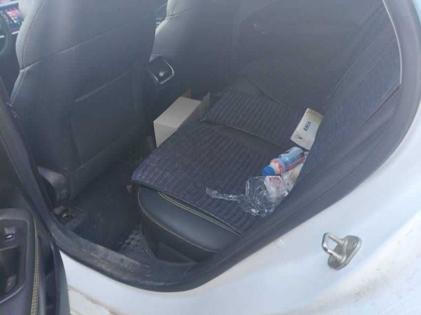 GEELY Binray 2021 image de voiture #3