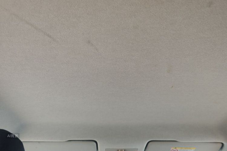 Volkswagen Santana 2018 car image #20