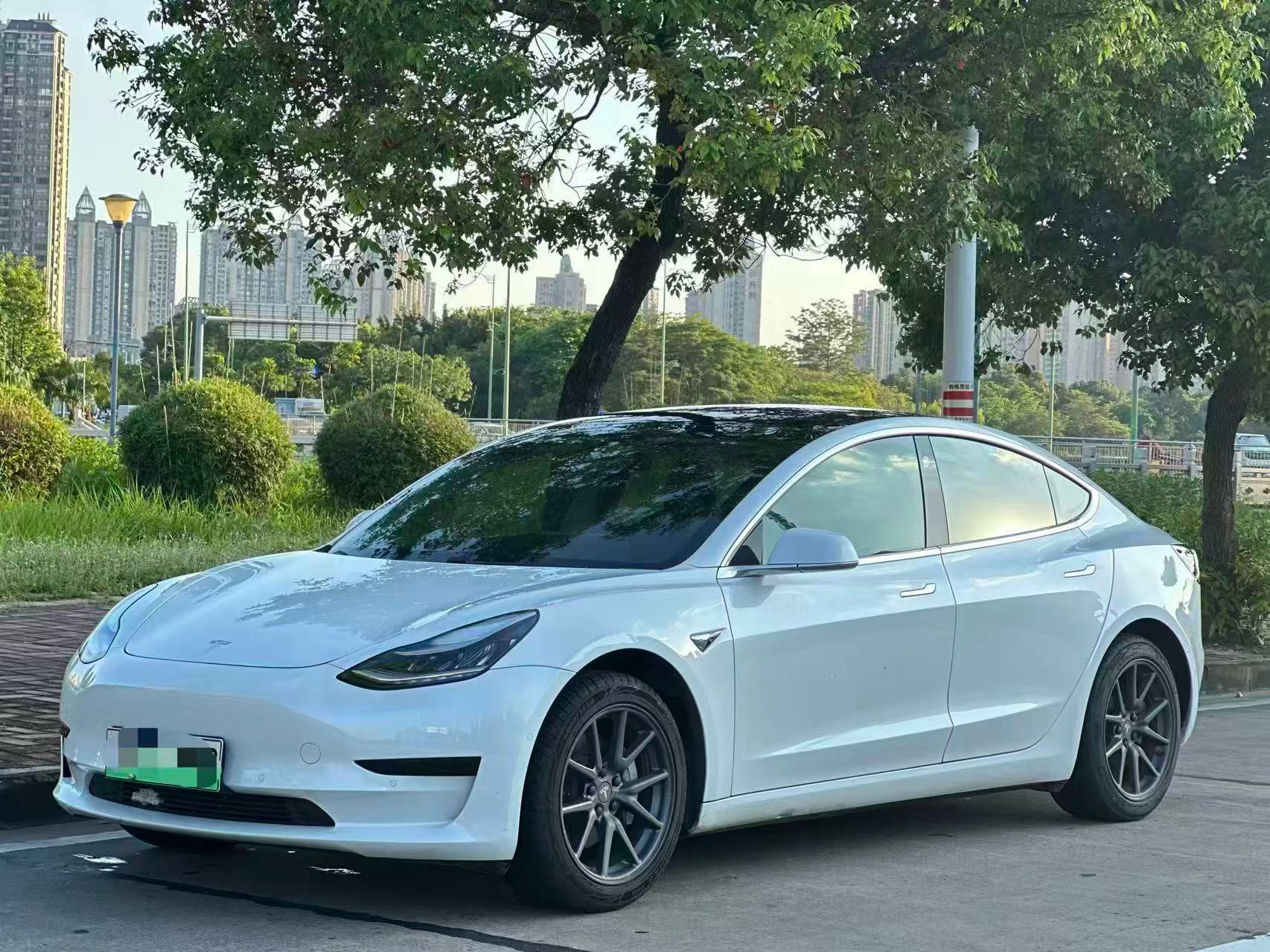 Tesla Model 3 2020 Tesla Model 3 2020 car image