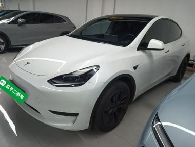 Tesla Model Y 2024 Tesla Model Y 2024 car image