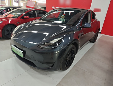 Tesla Model Y 2024 Tesla Model Y 2024 car image
